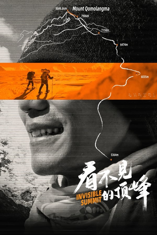 电影《看不见的顶峰》的海报
