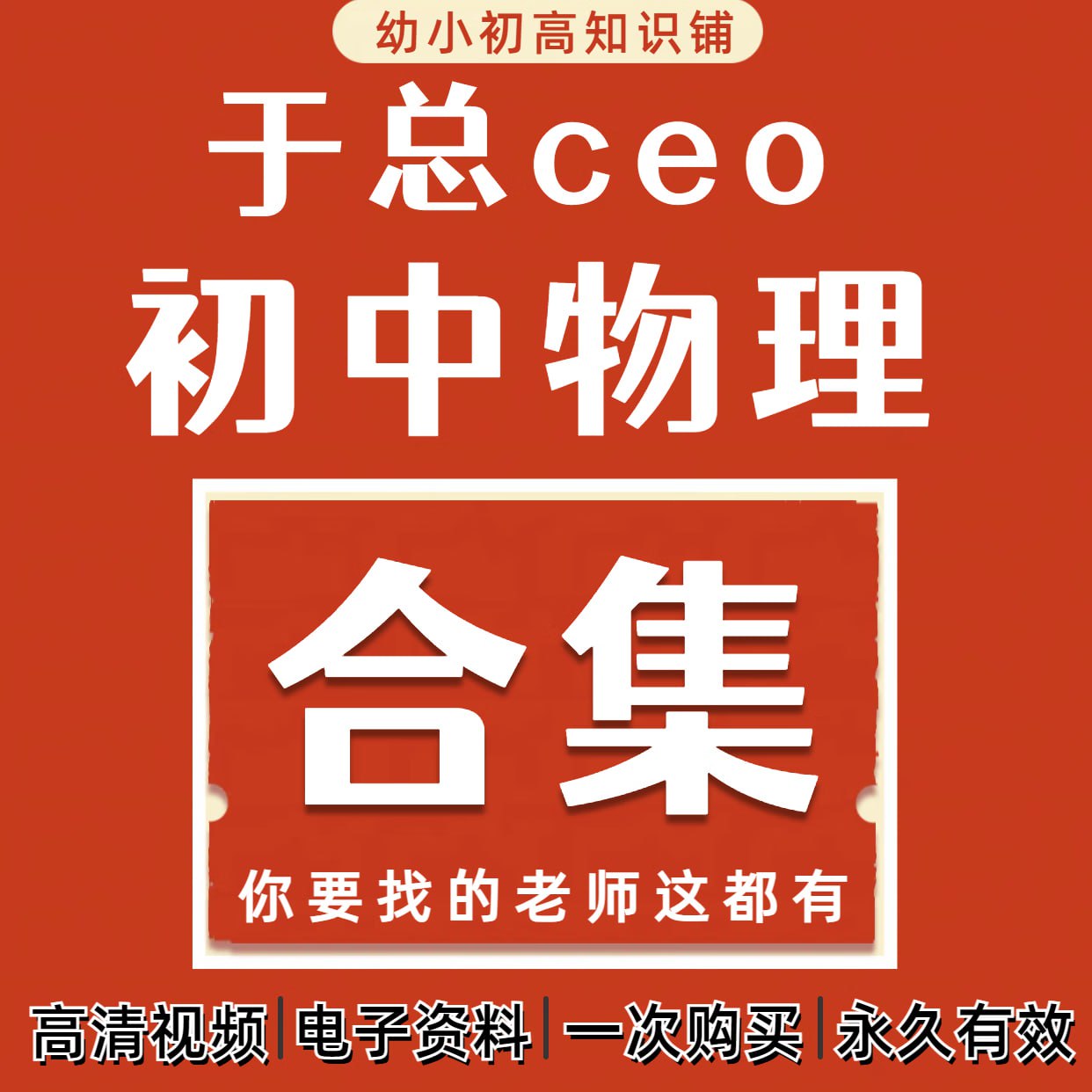 资源《于总CEO初中物理全套视频课》的海报