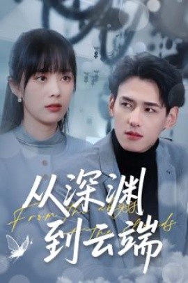 资源《从深渊到云端》的海报